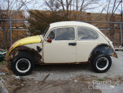 Beige 1969 Volkswagen Beetle