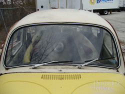 Beige 1969 Volkswagen Beetle