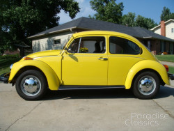 Yellow 1974 Volkswagen Beetle